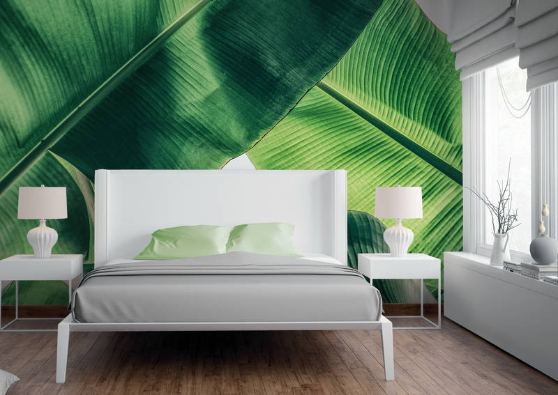             Tropische Blätter Detail-Bildmotiv – Grün
        
