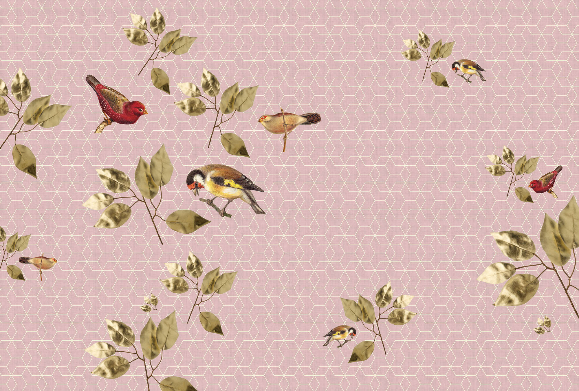             Brillant Birds 1 - Geometrie Fototapete mit Vogel & Blätter Muster – Grün, Rosa | Struktur Vlies
        