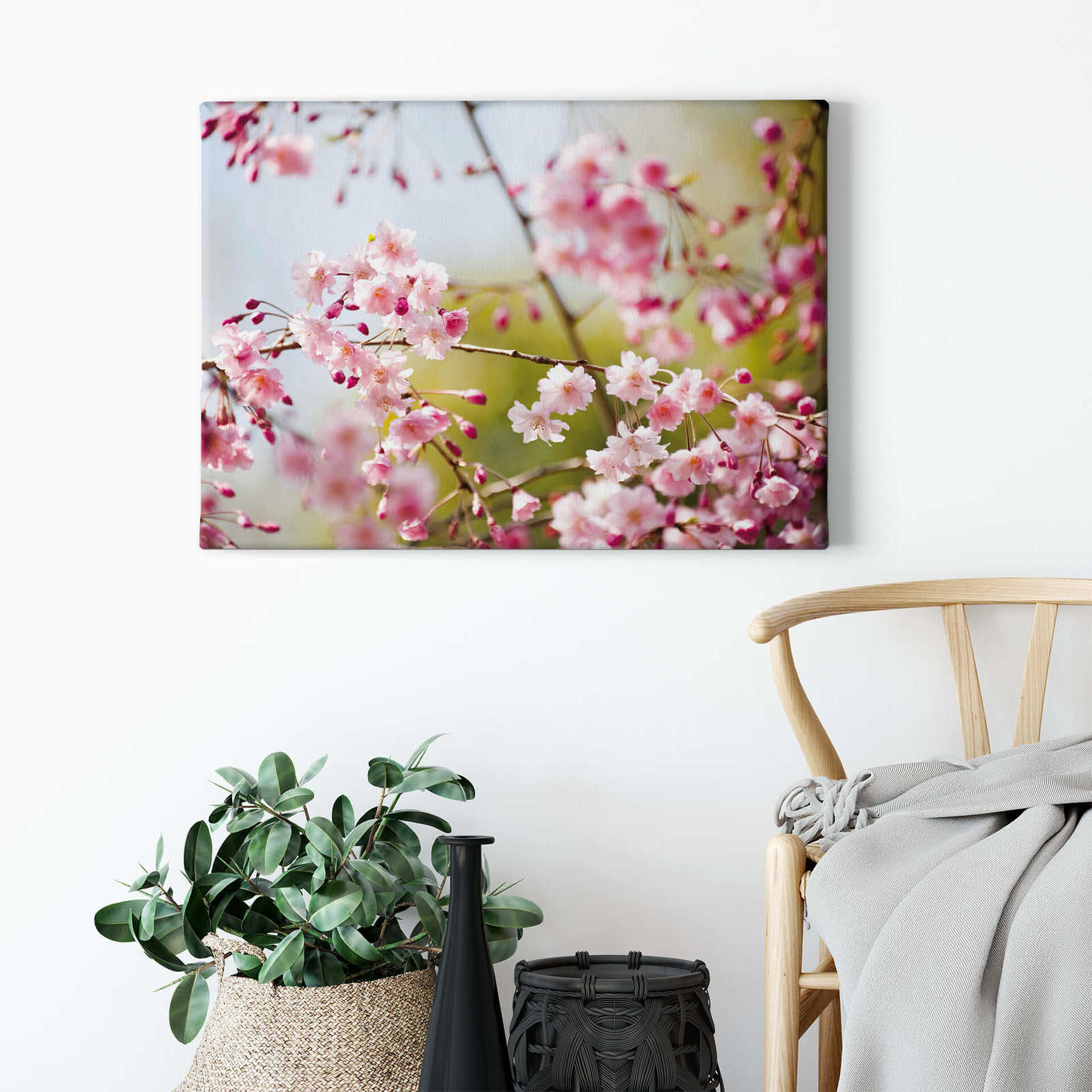             Natur Leinwandbild mit Kirschblüten Motiv – 0,70 m x 0,50 m
        