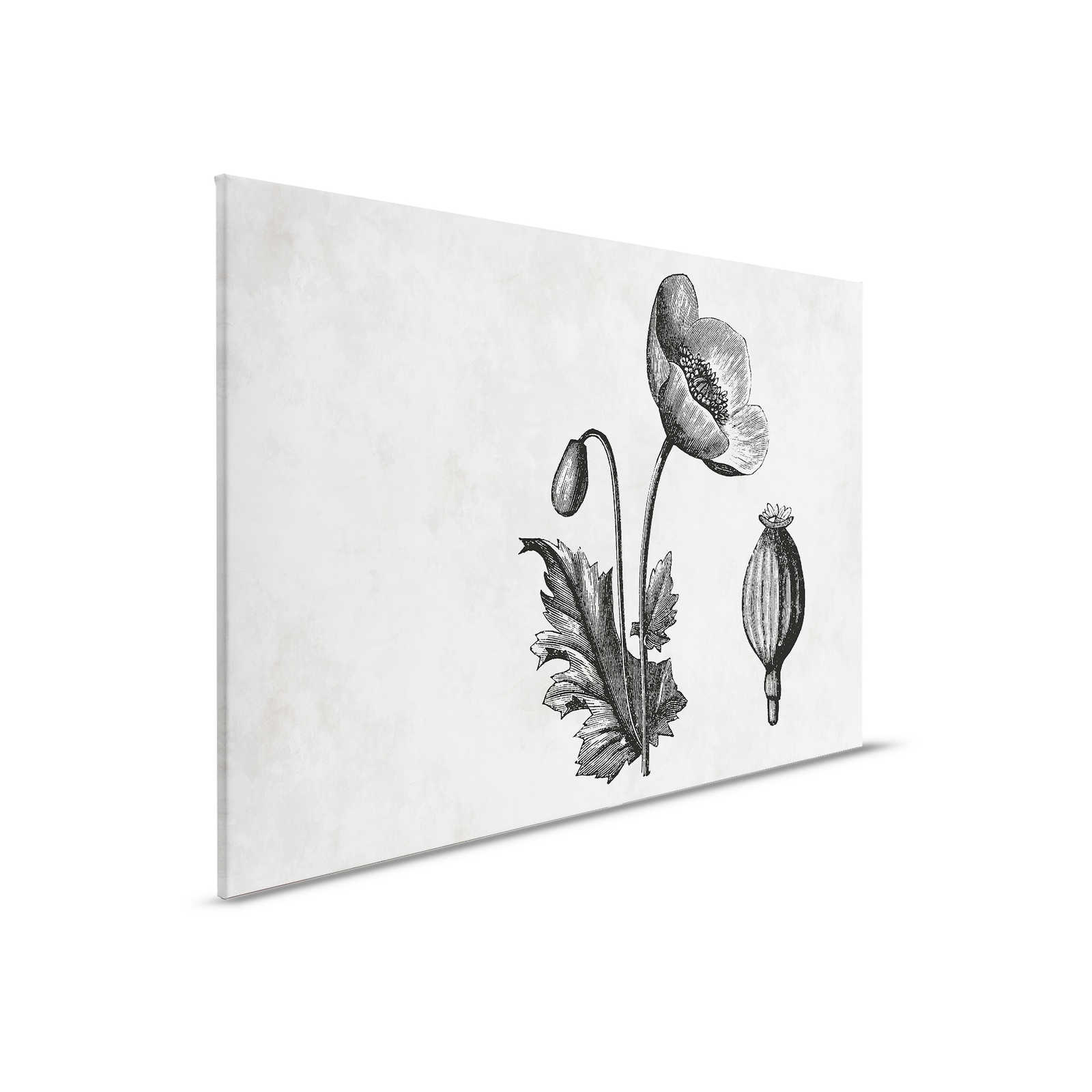 Schwarz-Weißes Leinwandbild Mohnblume Botanical Style – 0,90 m x 0,60 m
