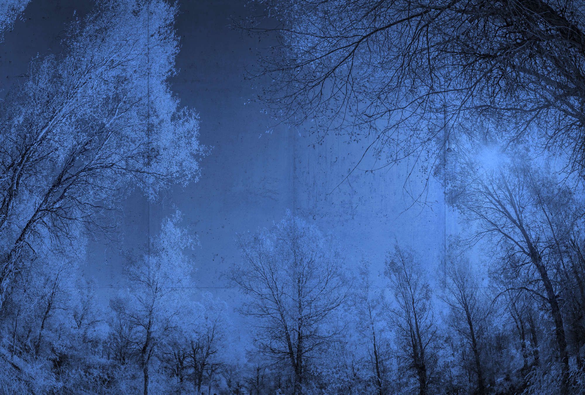             Fototapete Betonoptik & Wald-Landschaft – Blau, Schwarz
        