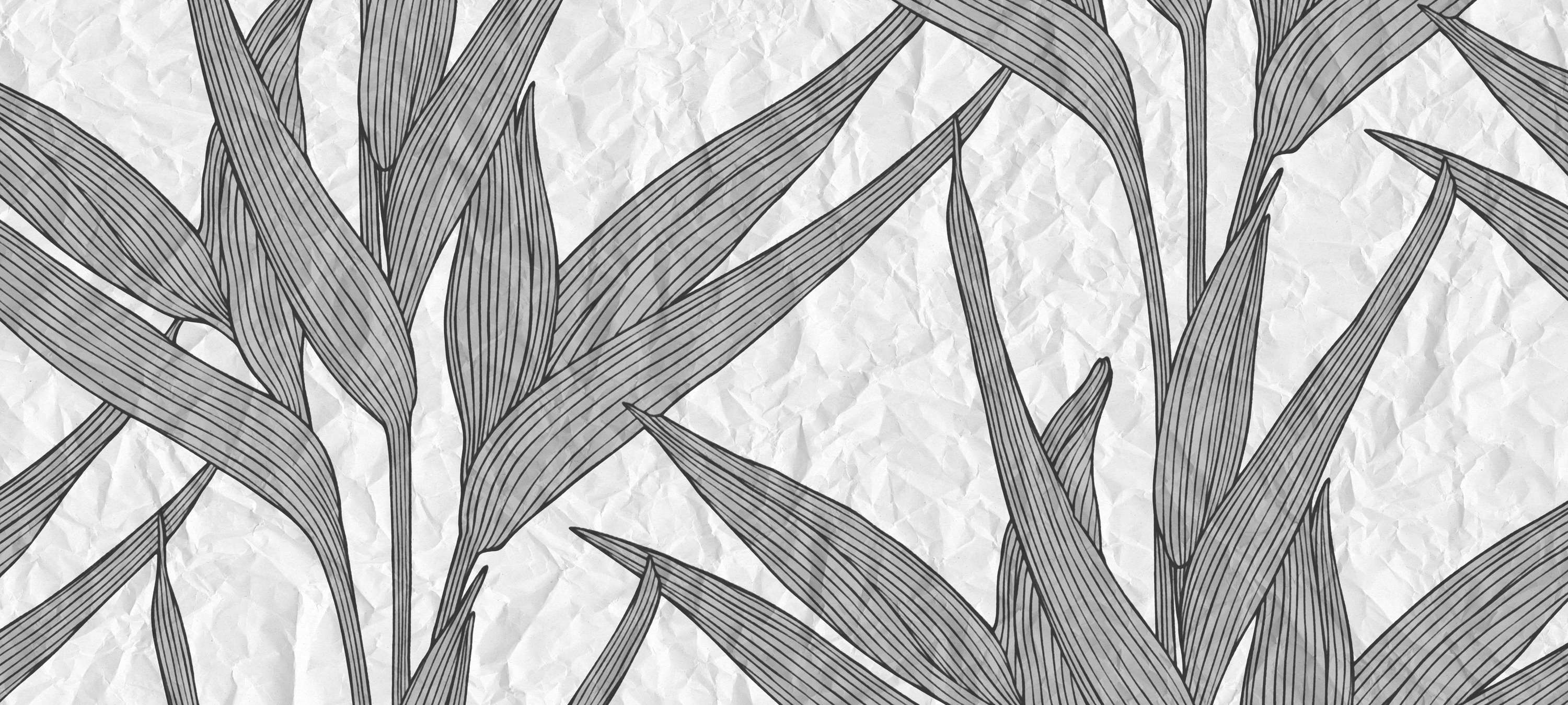             Fototapete Blätter & Papier-Optik – Grau, Weiß
        