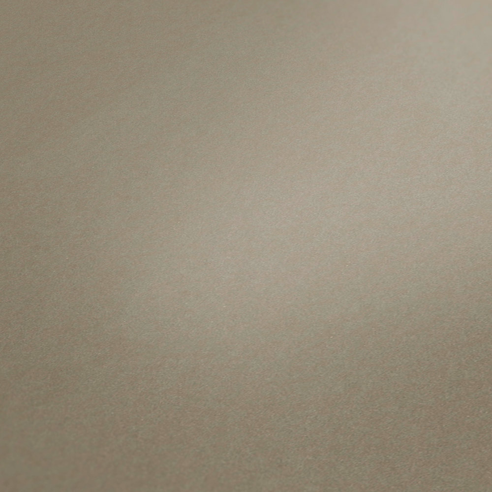             Vliestapete einfarbig, matt mit glatter Oberfläche – Braun
        