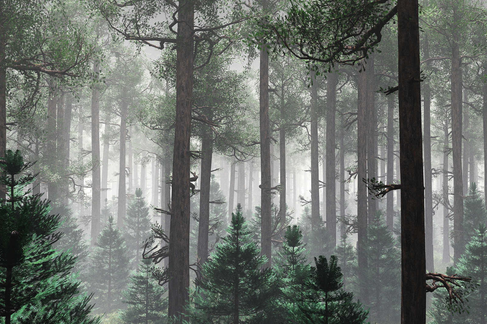            Leinwandbild Wald im Nebel mit großen Bäumen – 0,90 m x 0,60 m
        