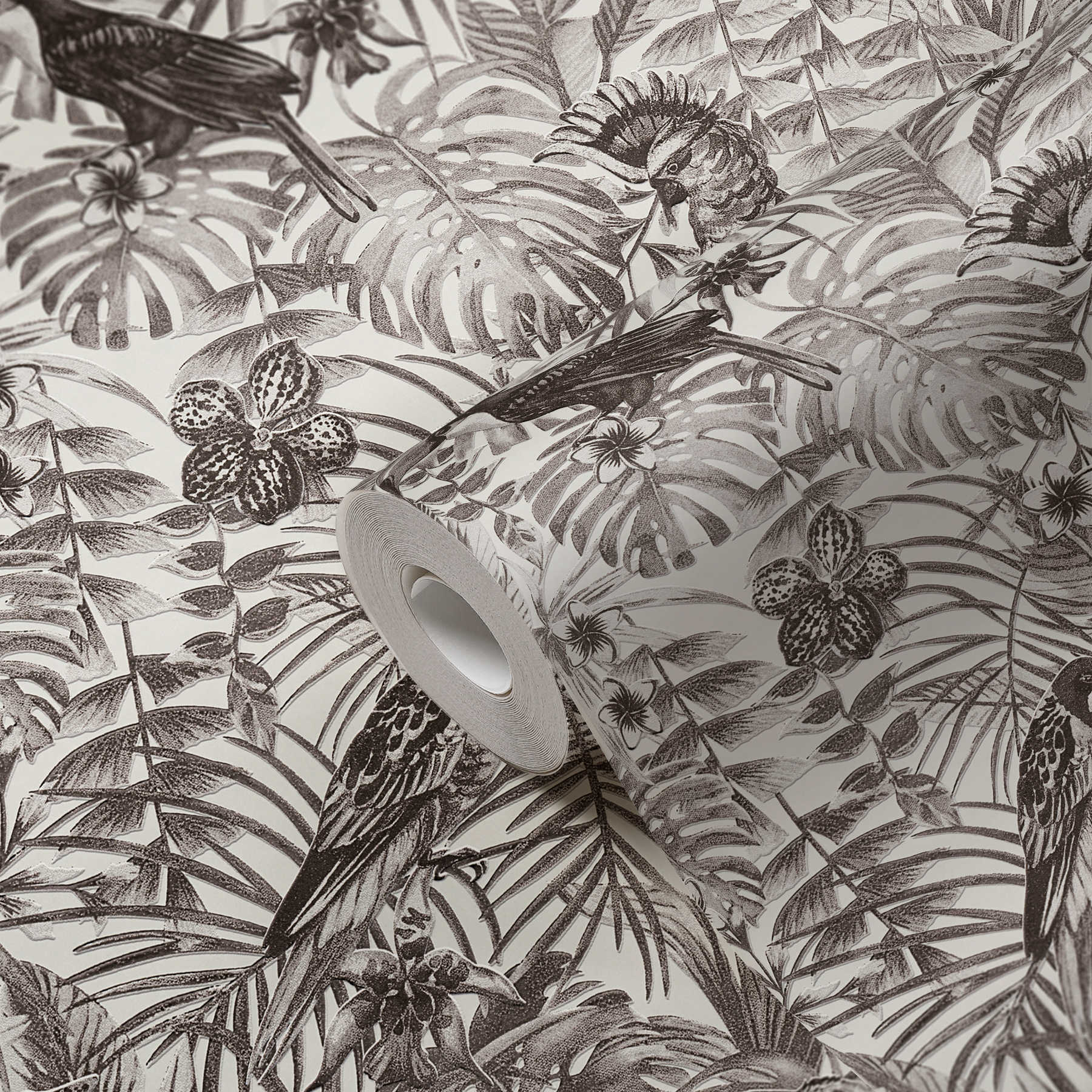             Exotische Tapete tropischen Vögel, Blüten & Blätter – Schwarz, Weiß, Grau
        