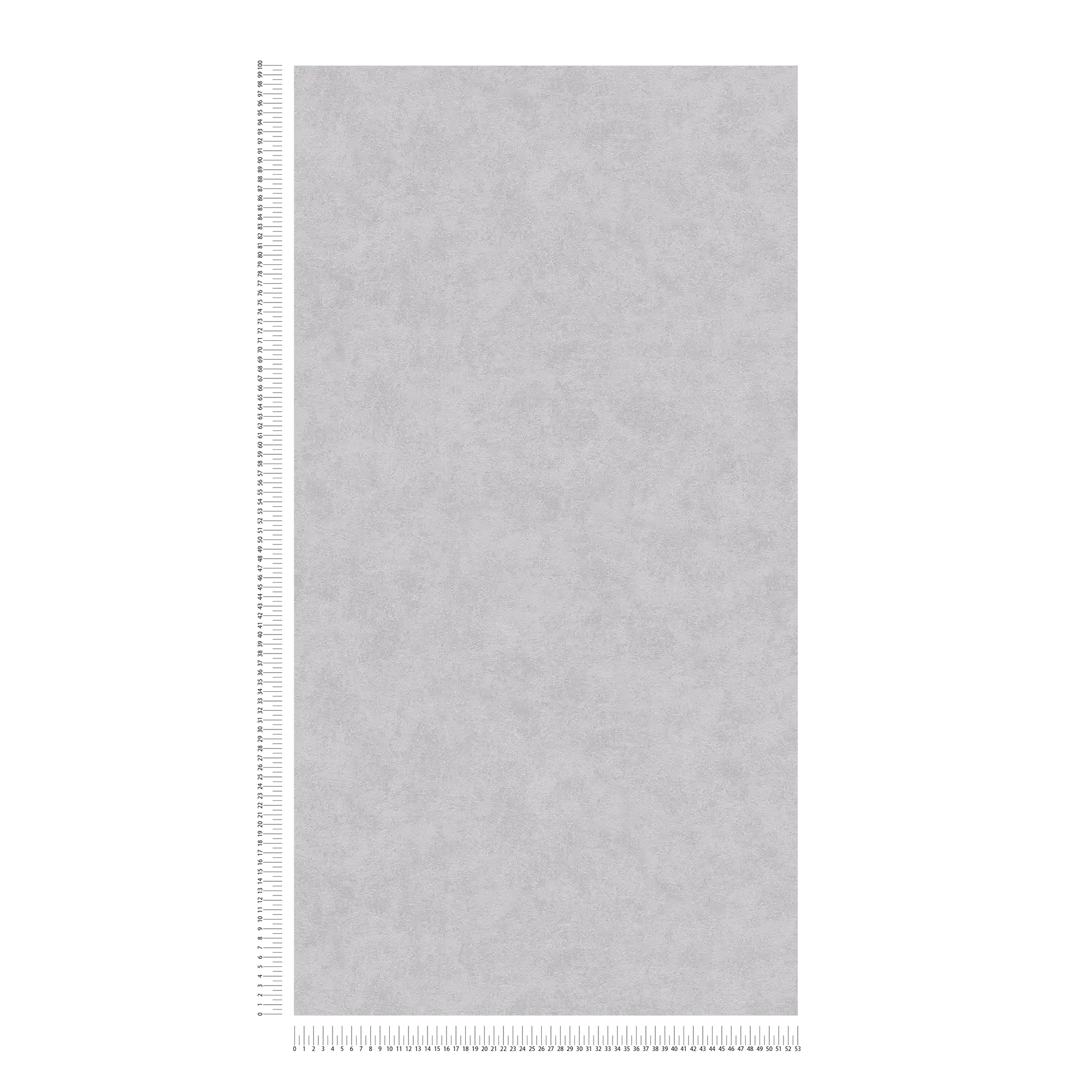             Vliestapete Beton-Grau matt mit Strukturprägung
        