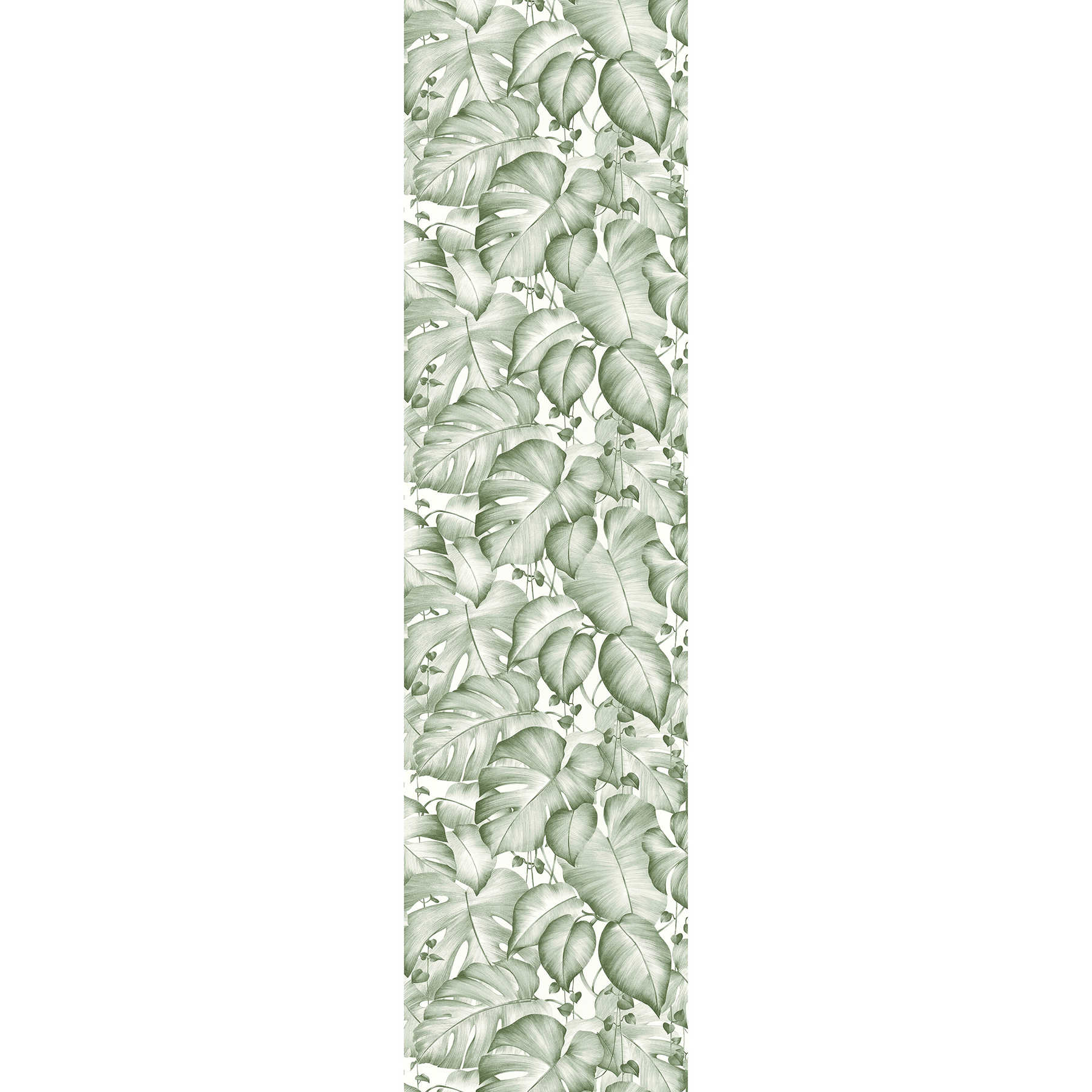         Designpanel selbstklebend mit Monstera Blättern – Grün, Weiß
    