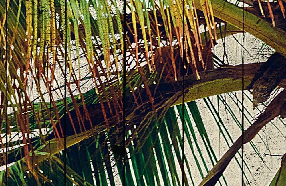            Tahiti 3 - Palmen Fototapete mit Urlaubsfeeling - Holzpaneele Struktur – Beige, Blau | Premium Glattvlies
        