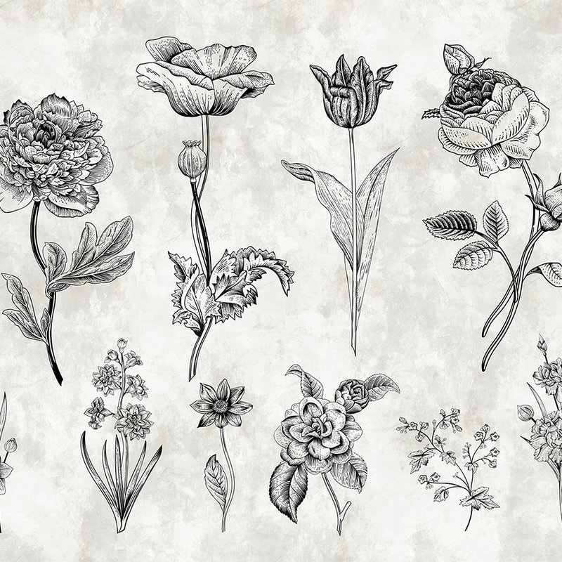 Fototapete Blumen im Zeichenstil – Weiß, Schwarz
