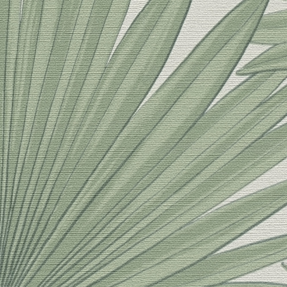             Vliestapete im Dschungelstil – Grün, Weiß
        