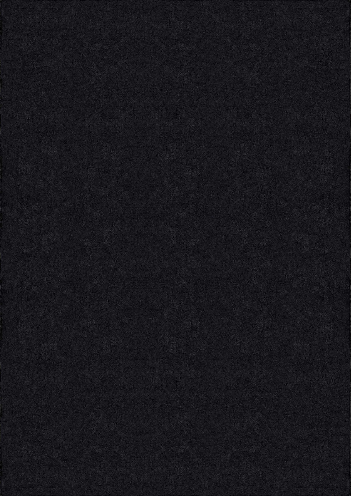             Samtiger Hochflor Teppich in Schwarz – 230 x 160 cm
        