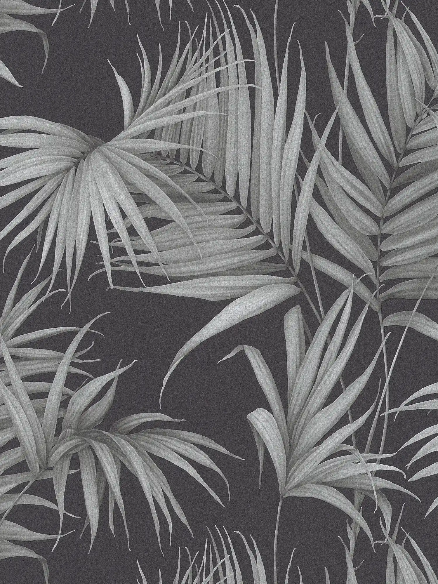 Tropische Tapete mit Farn-Blättern – Grau, Schwarz
