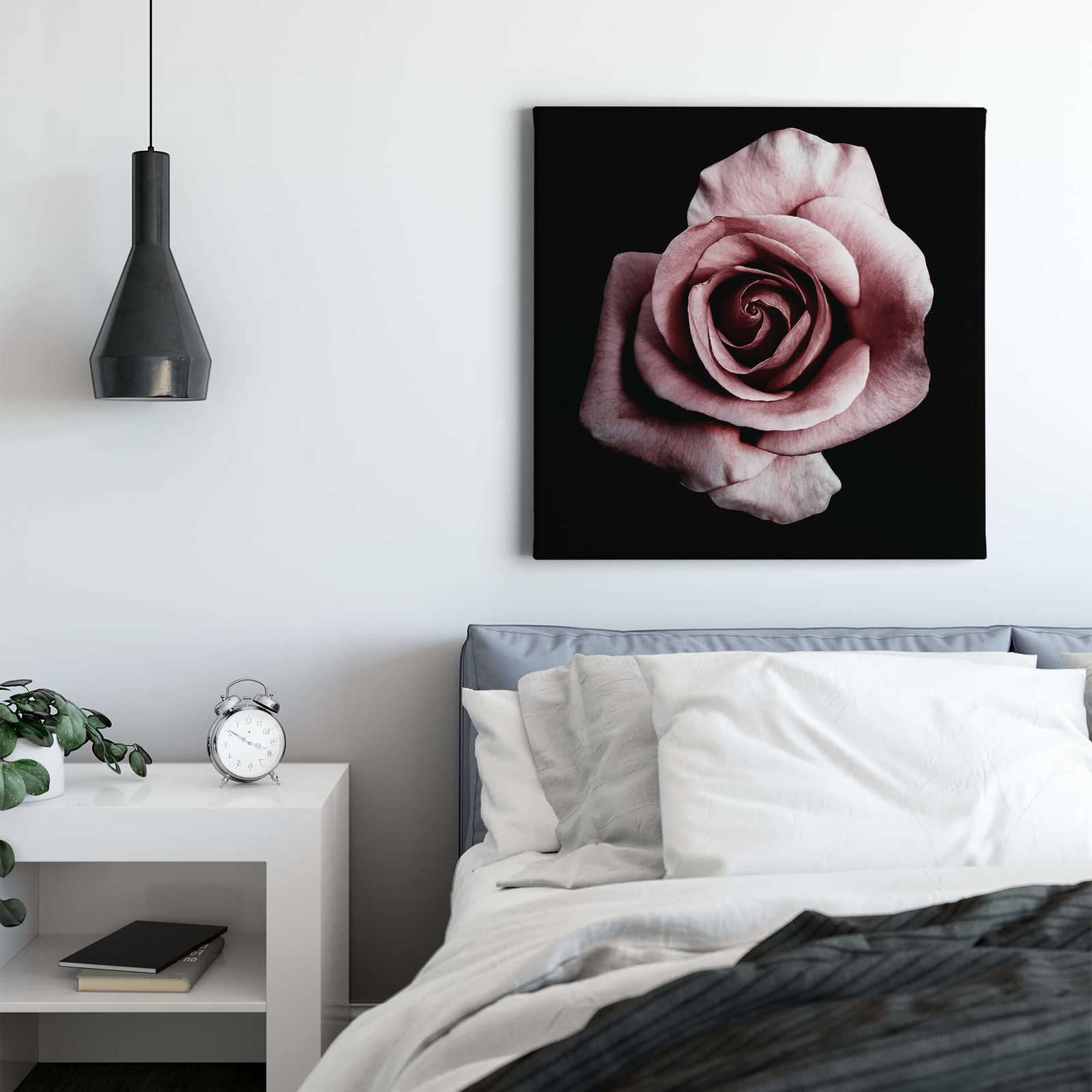             Leinwandbild Rosenblüte romantisches Blütenbild – 0,50 m x 0,50 m
        