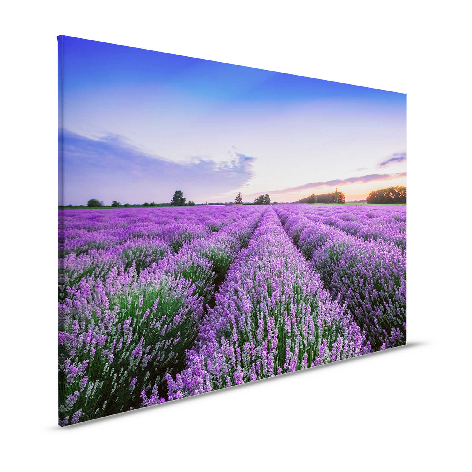         Landschaft Leinwandbild mit Lavendelfeld – 1,20 m x 0,80 m
    