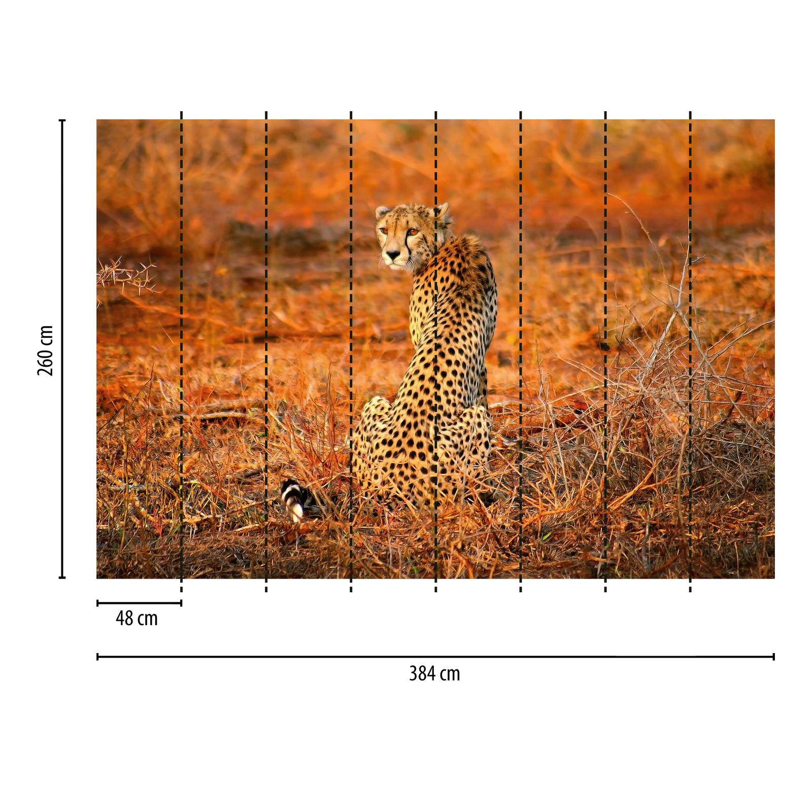             Fototapete Leopard in Natur – Gelb, Orange, Schwarz
        