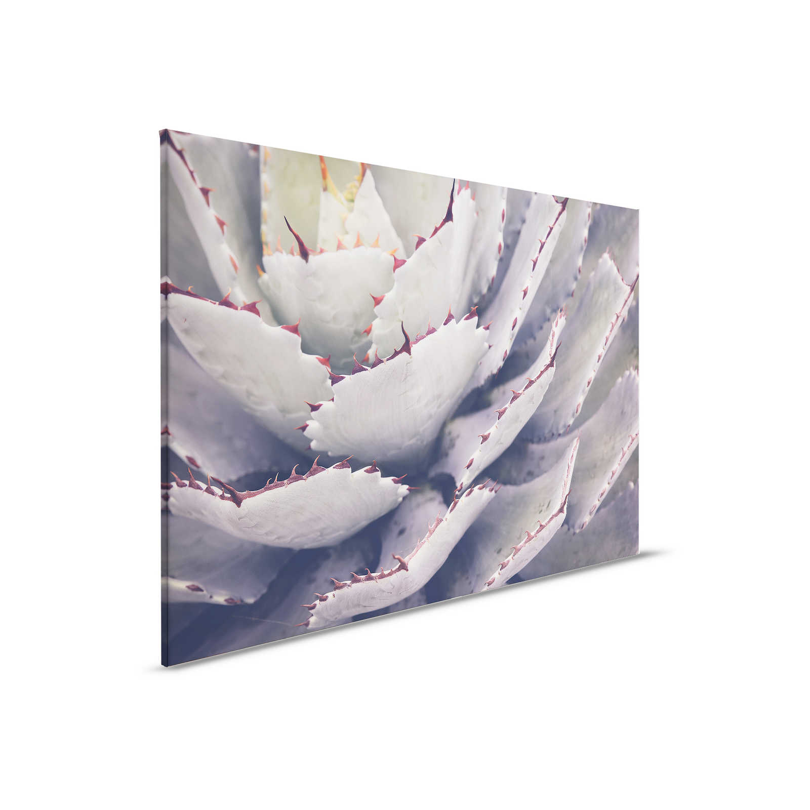 Leinwandbild mit Nahaufnahme von einem Kaktus – 0,90 m x 0,60 m
