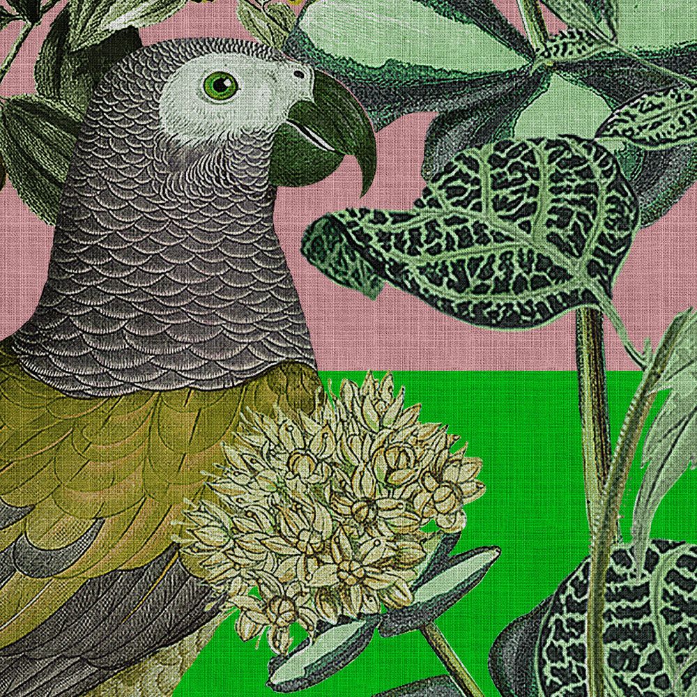             Fototapete »amazona 2« - Exotische Vögel – Grün | Glattes, leicht perlmutt-schimmerndes Vlies
        