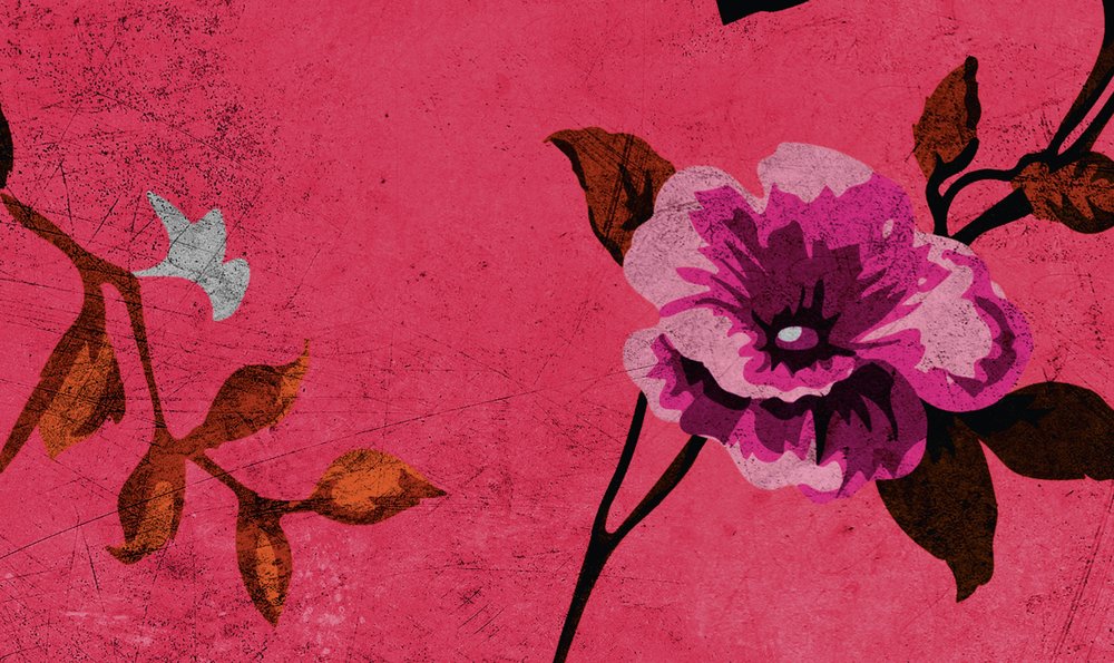             Wild roses 3 - Rosen Fototapete im Retrolook, Pink- Kratzer Struktur – Rosa, Rot | Struktur Vlies
        