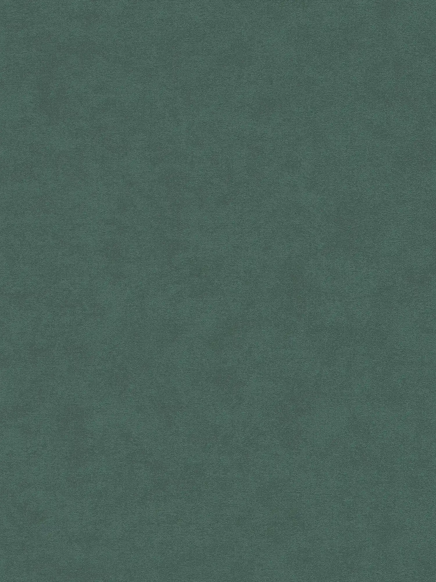 Vliestapete mit leichter Struktur einfarbig – Grün
