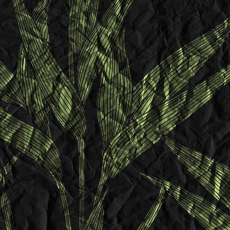Dunkle Blätter Fototapete mit Papier-Optik – Grün, Schwarz
