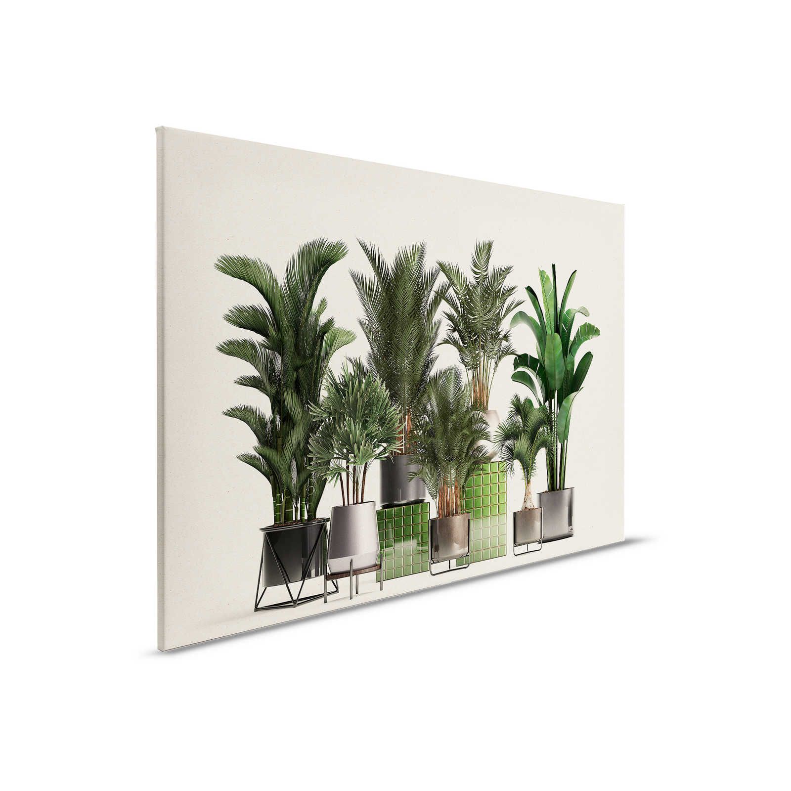 Plant Shop 1 - Natur Leinwandbild Topfpflanzen Palmen – 0,90 m x 0,60 m
