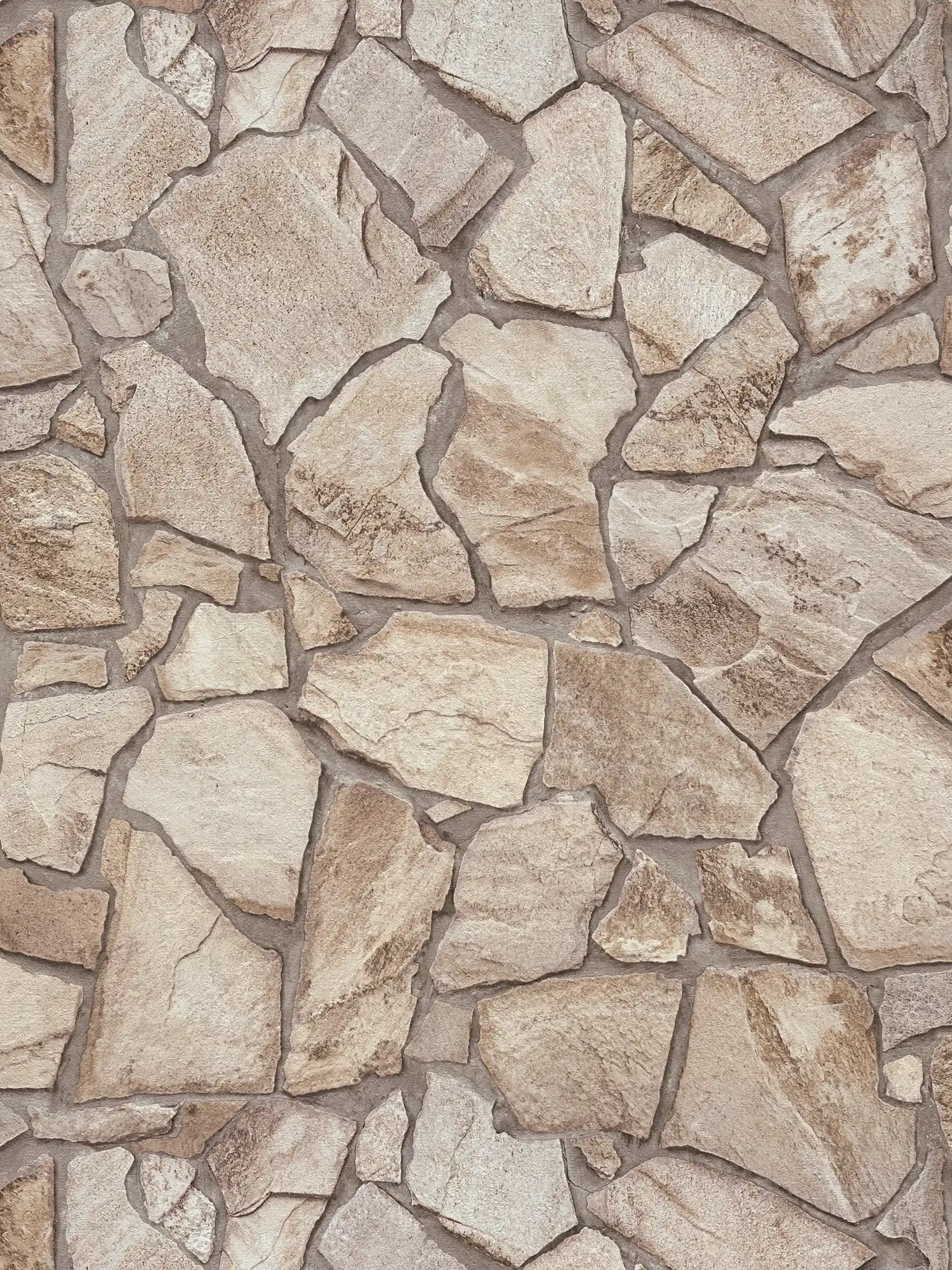 Vliestapete mit Steinoptik Mauer – Braun, Grau, Beige
