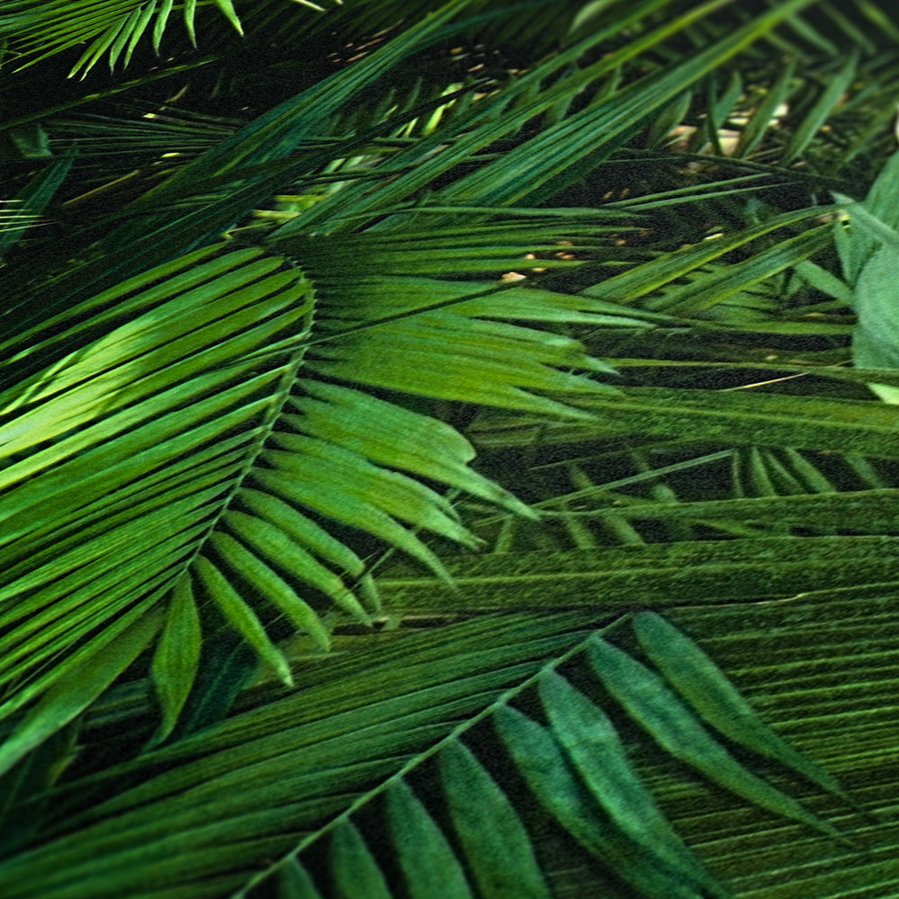             Blätter Muster im Dschungel-Look, Farn Optik – Farn Optik
        