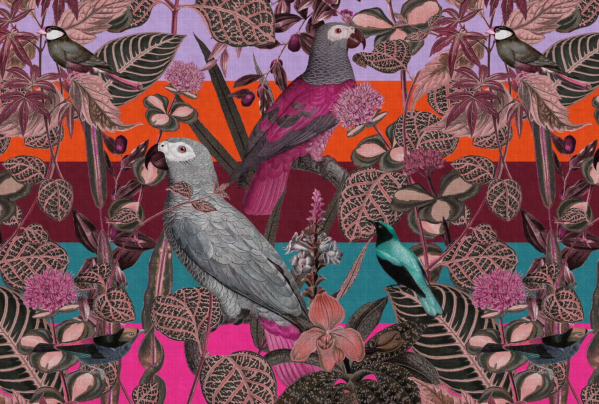             Fototapete »amazona 1« - Exotische Vögel – Violett | Leicht strukturiertes Vlies
        