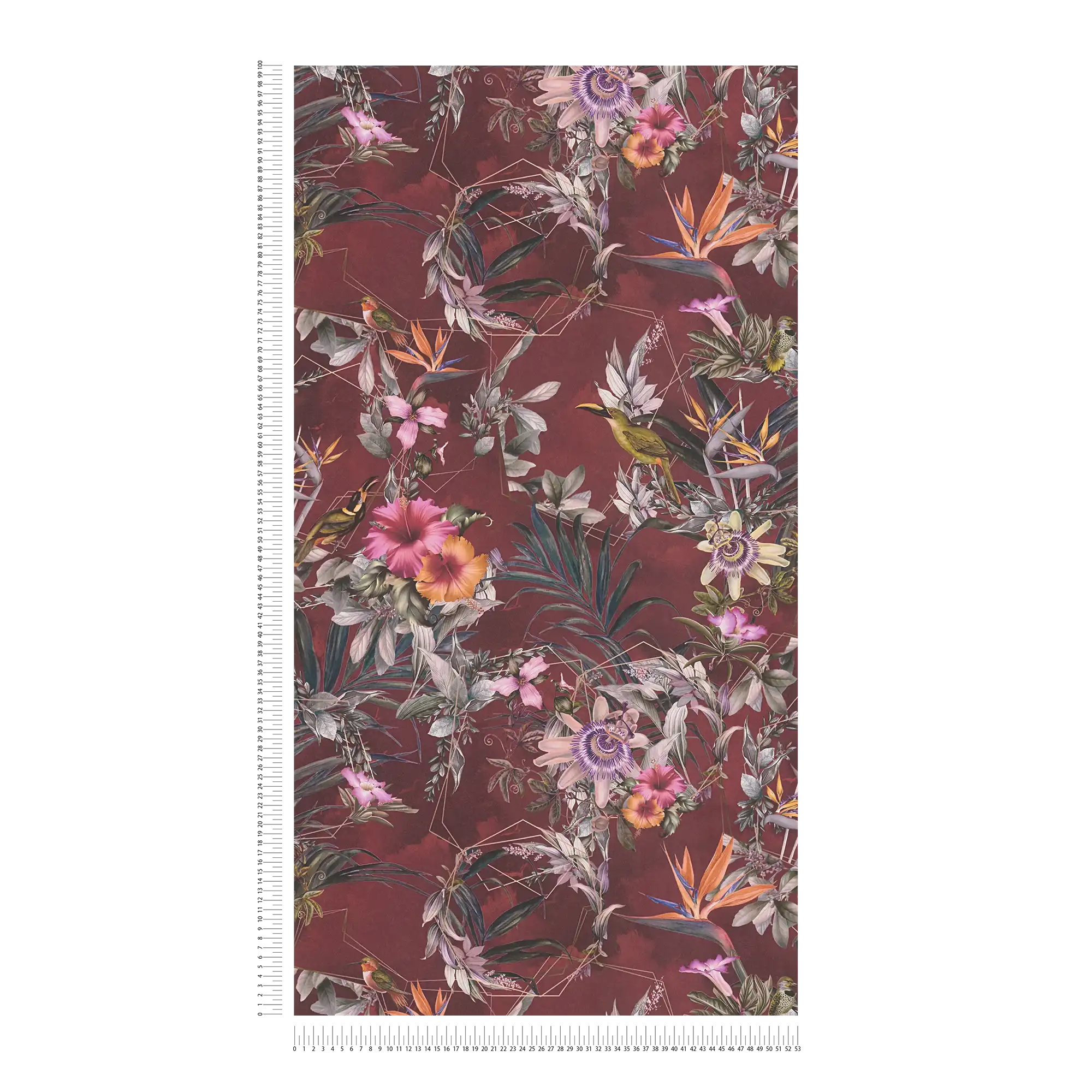            Blumentapete Hibiskus & Vögel im Hawaii Stil – Rot, Braun, Grün
        