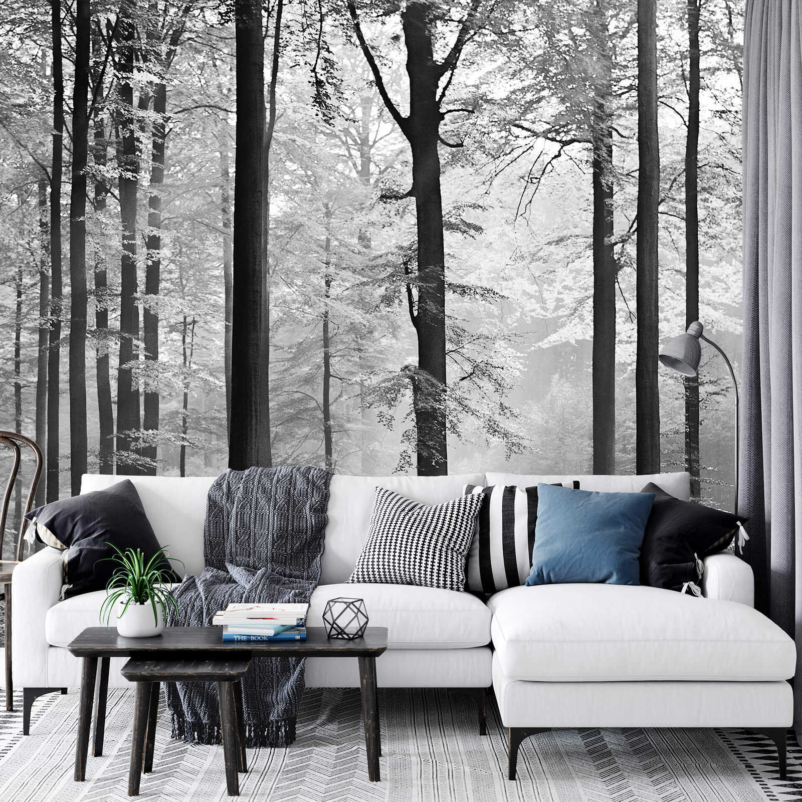             Blätterwald Fototapete Grau-Weiß – Schwarz, Weiß, Grau
        