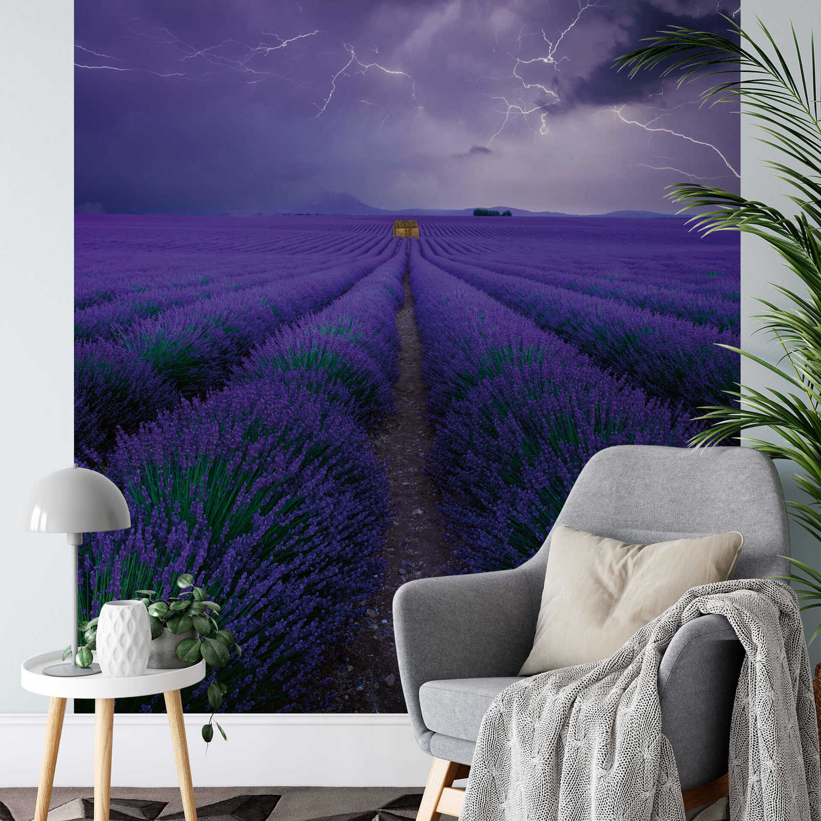             Fototapete Feld mit Lavendel – Violett, Grün, Braun
        