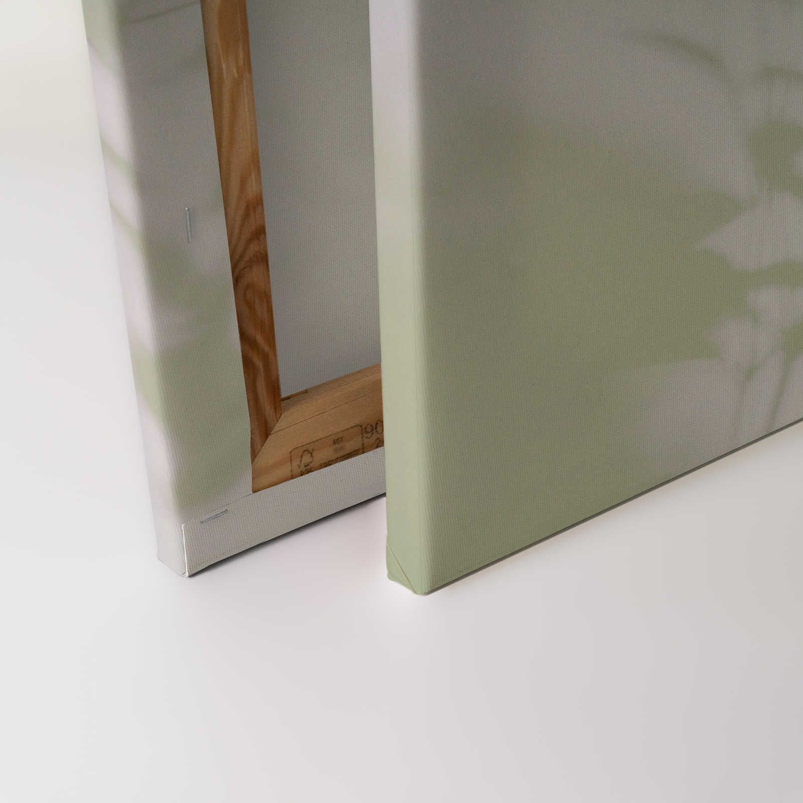             Shadow Room 3 - Natur Leinwandbild Grün & Weiß, verblasstes Design – 0,90 m x 0,60 m
        
