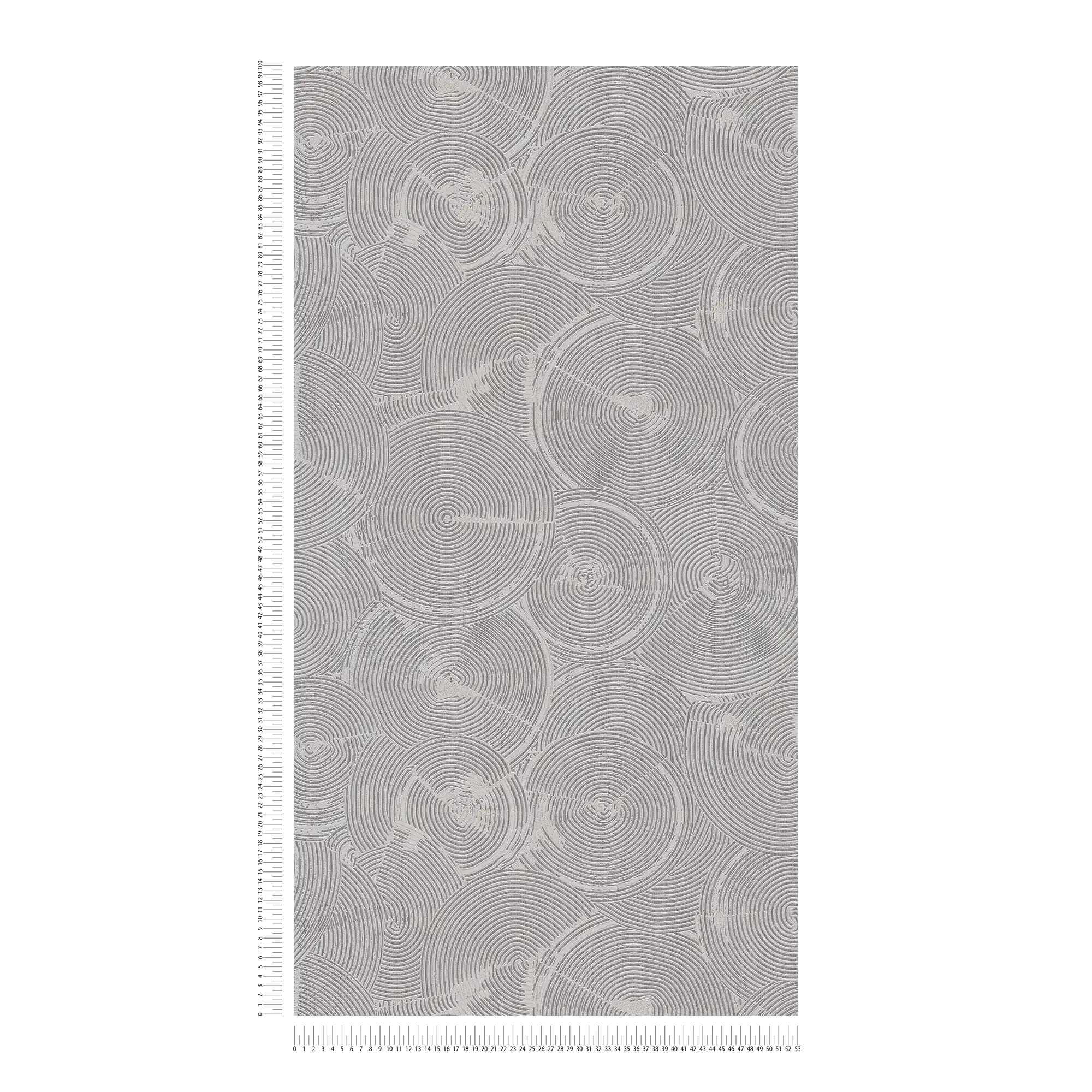             Putzoptik Tapete mit silbernem Metallic-Effekt – Grau, Metallic, Weiß
        