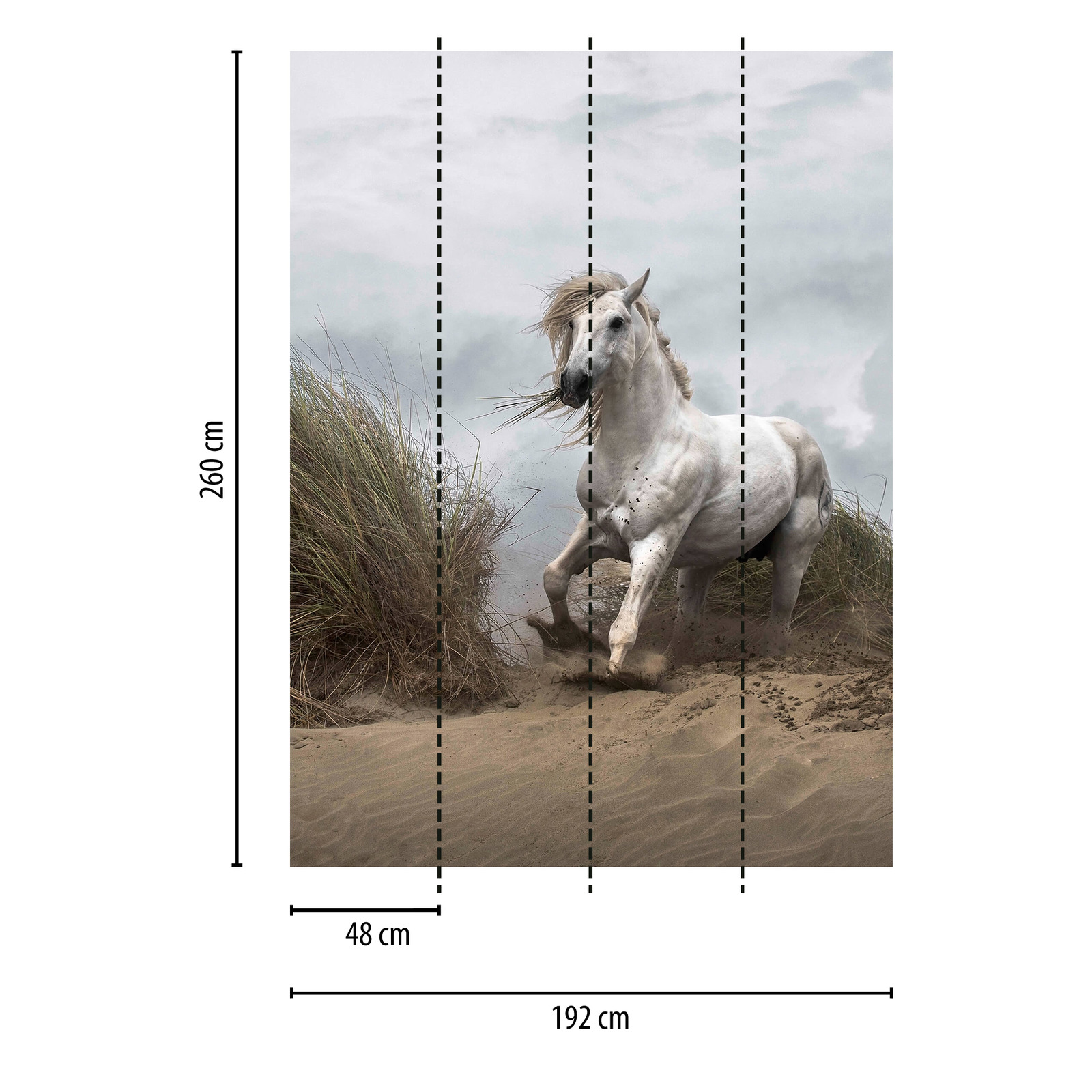             Fototapete Strand Dünen mit Pferd – Weiß, Creme, Grau
        