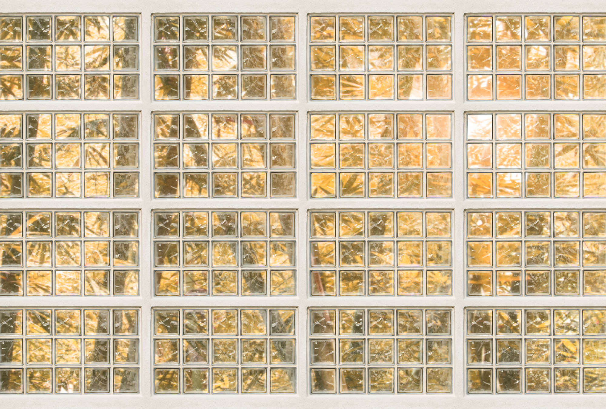             Fototapete Fenster mit Ausblick, Herbst Wald – Orange, Weiß
        