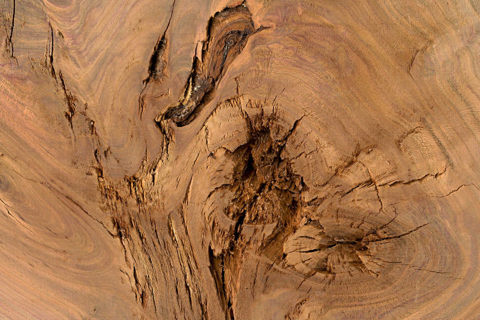             Leinwandbild Detailaufnahme von einem Baumstamm – 0,90 m x 0,60 m
        