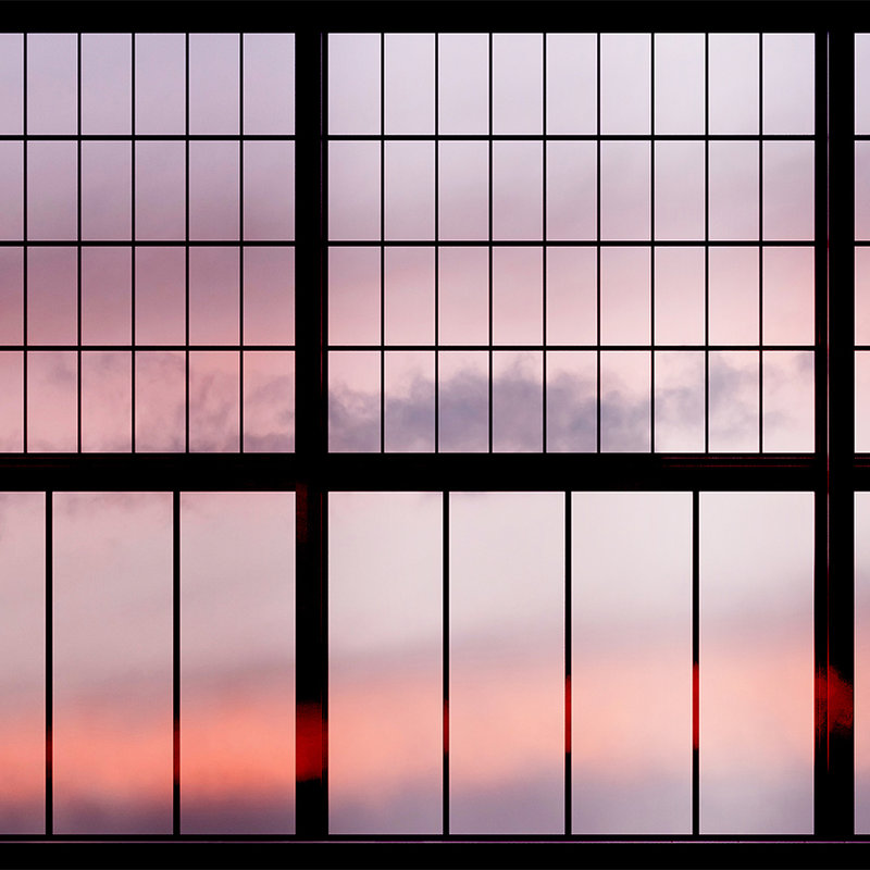 Sky 1 - Fototapete Fenster Ausblick Sonnenaufgang – Rosa, Schwarz | Struktur Vlies
