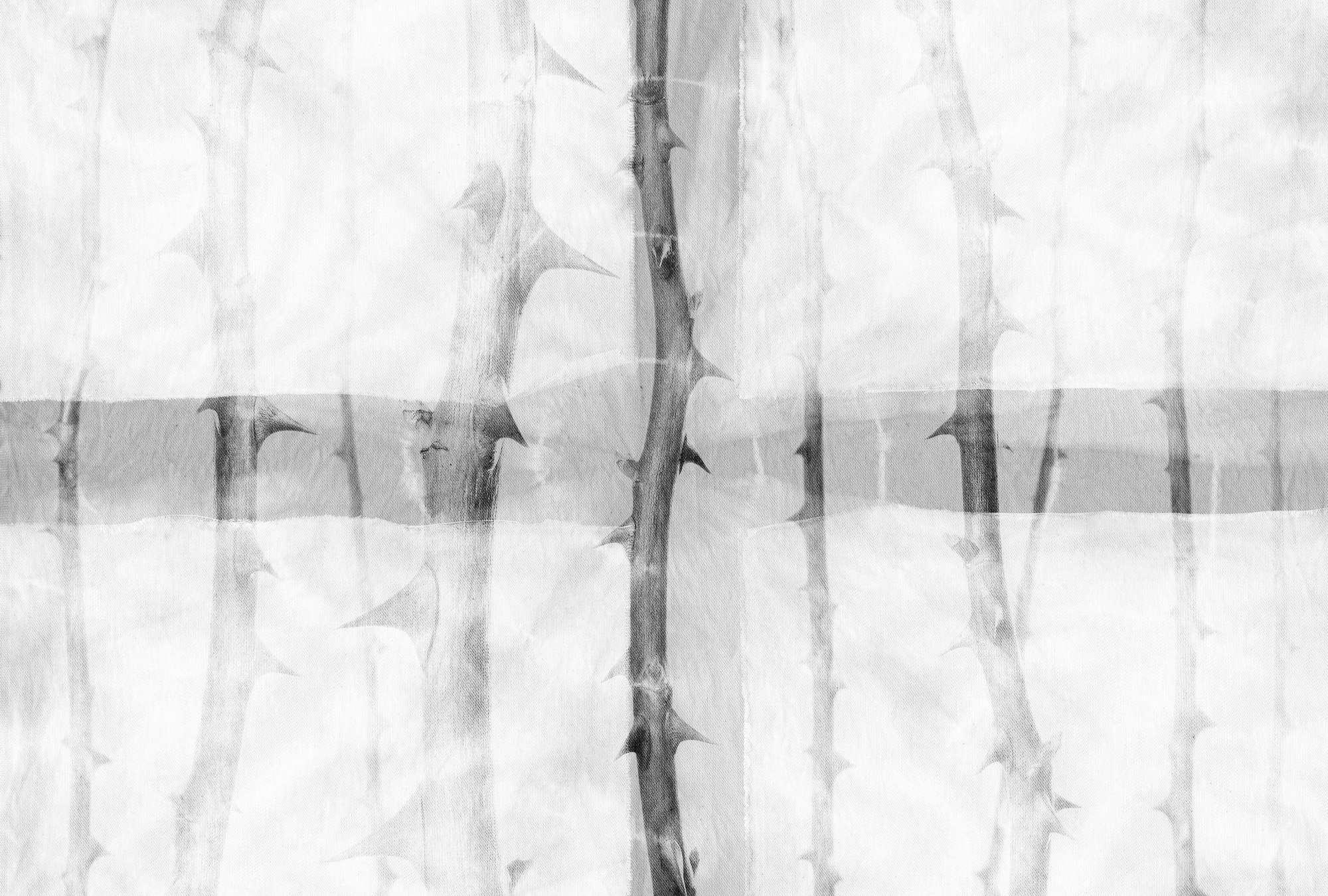             Graue Fototapete mit ausgefallenem Dornenmuster – Grau, Weiß
        