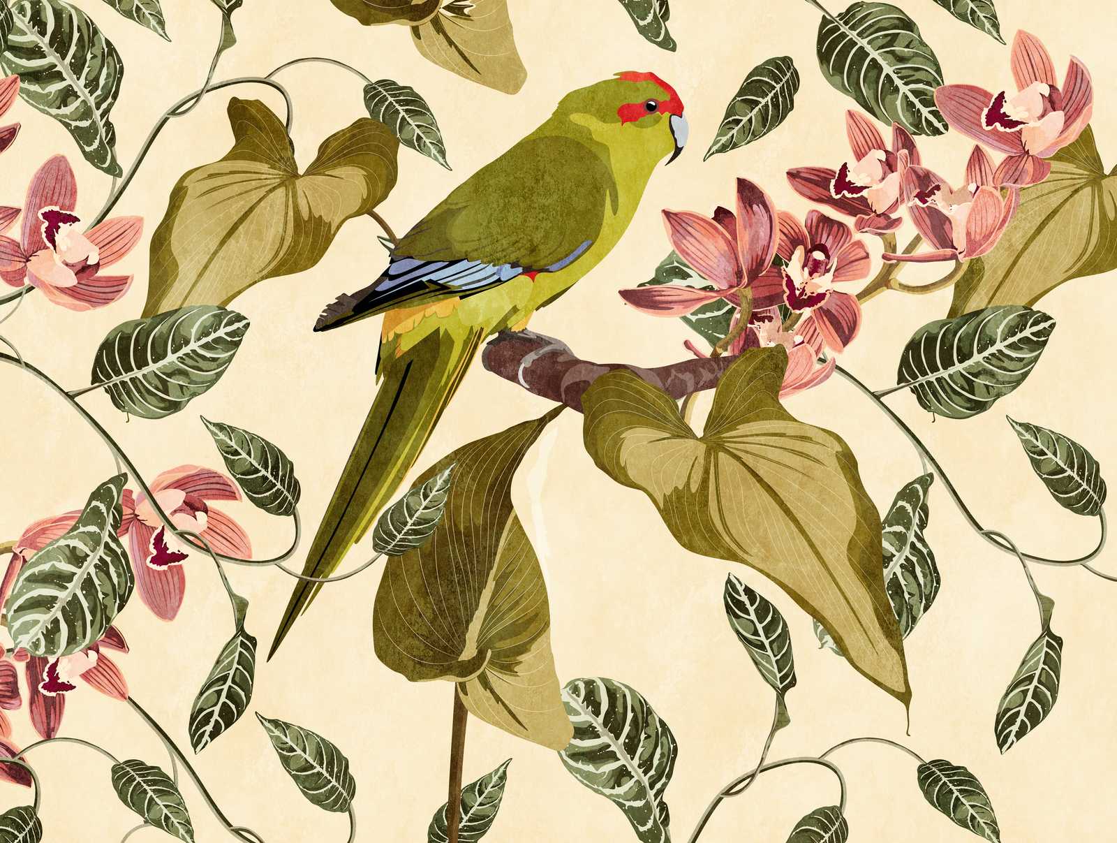             Tapeten Neuheit – Motivtapete Papagei & Orchideen Kunstdruck
        