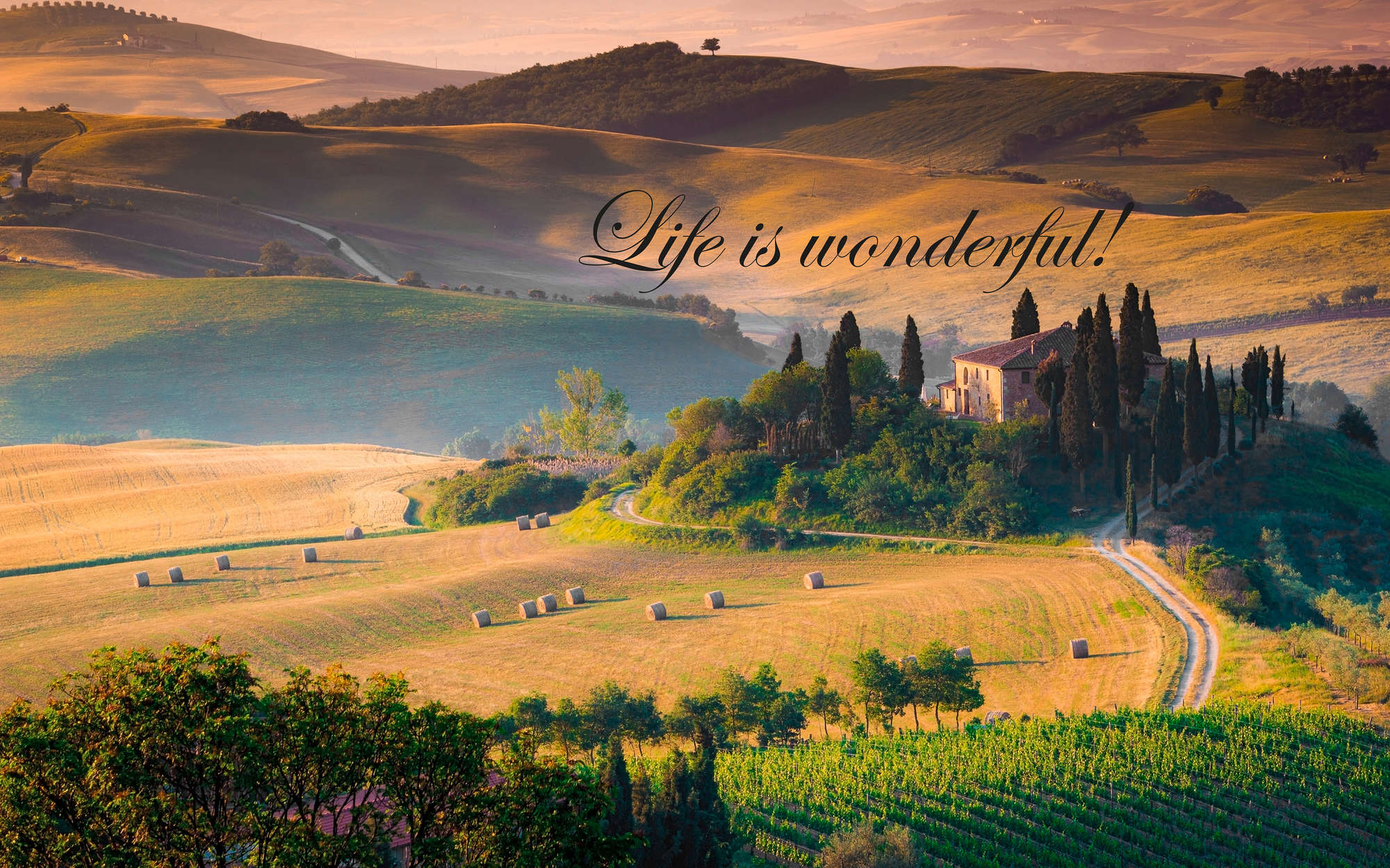             Fototapete Toskana mit Schriftzug "Life is wonderful!" – Mattes Glattvlies
        