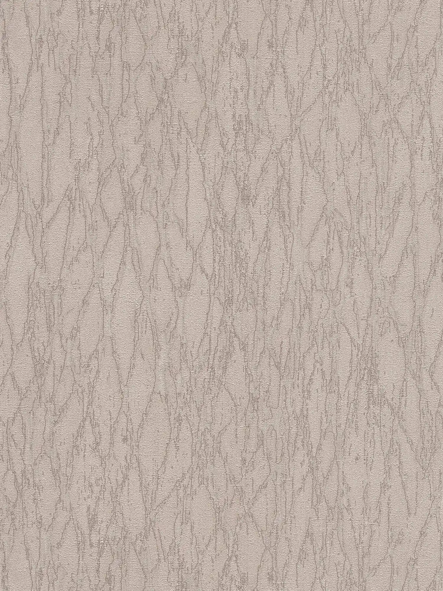         Vliestapete in Putzoptik mit Akzenten und abstraktem Muster – Grau, Beige, Silber
    