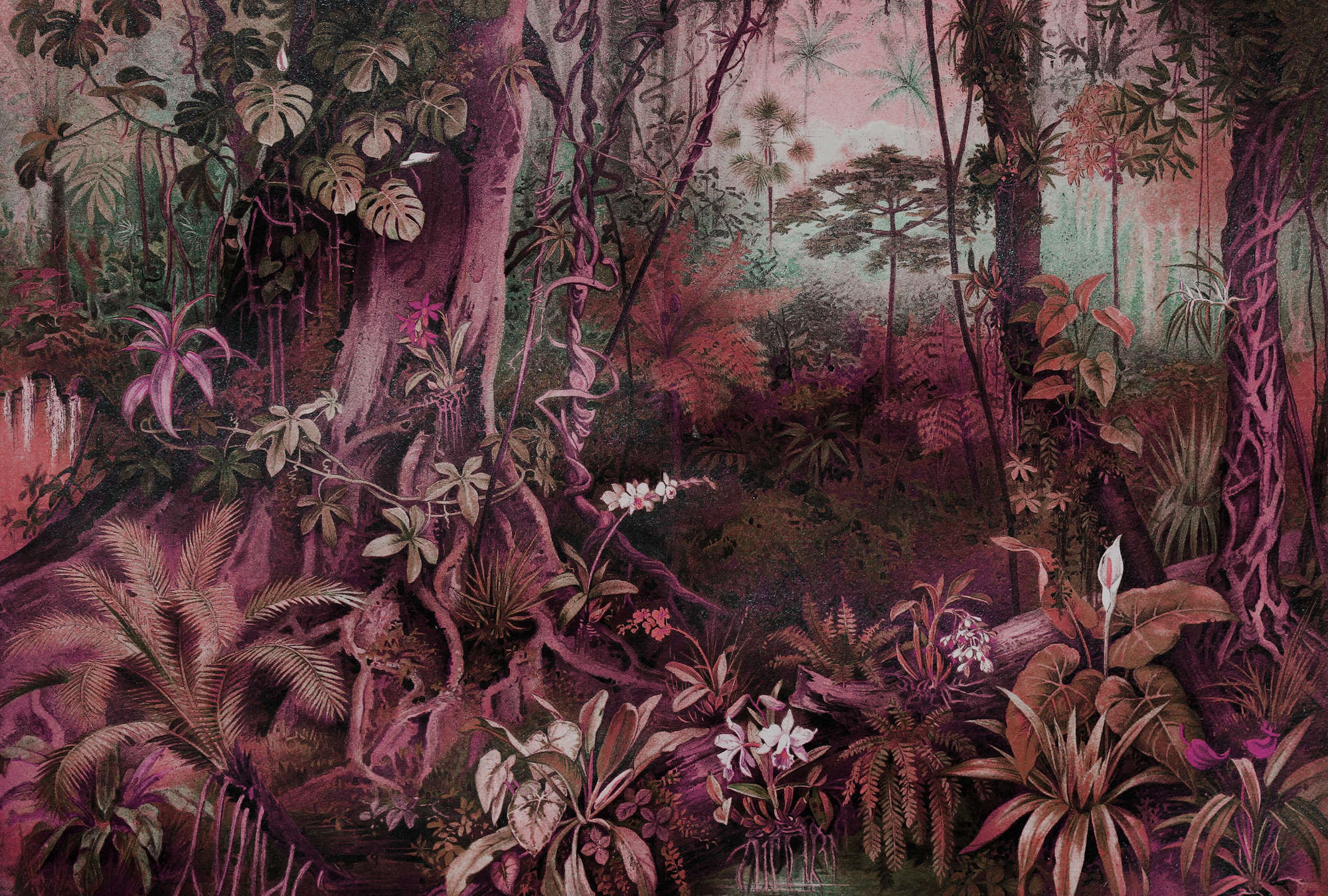            Dschungel Fototapete im Zeichenstil – Lila, Grün
        