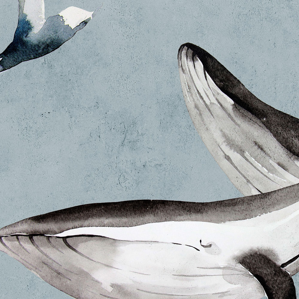             Oceans Five 2 – Fototapete Wale Unterwasser Aquarell
        
