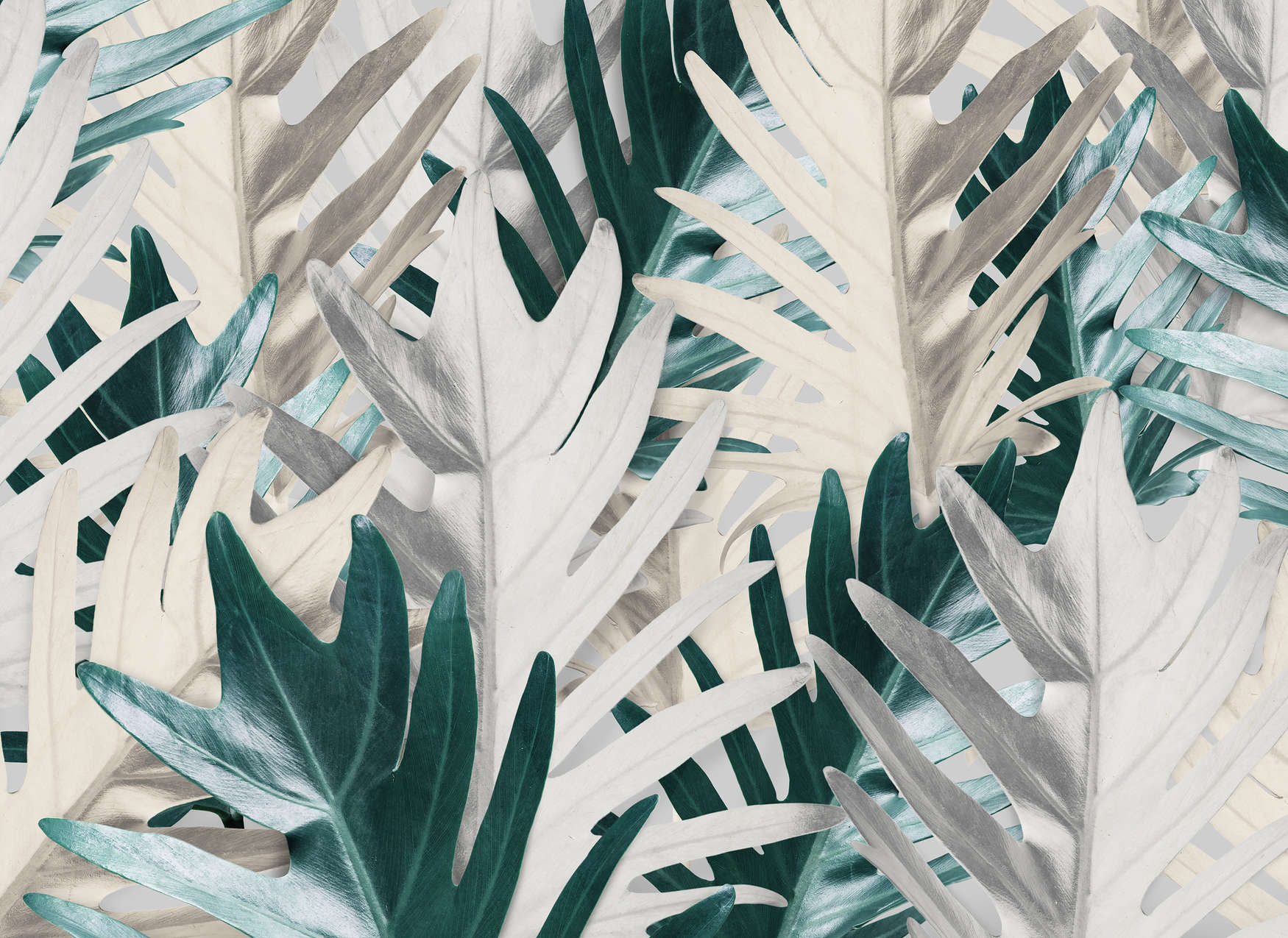             Fototapete mit tropischen Palmblättern – Grün, Weiß
        