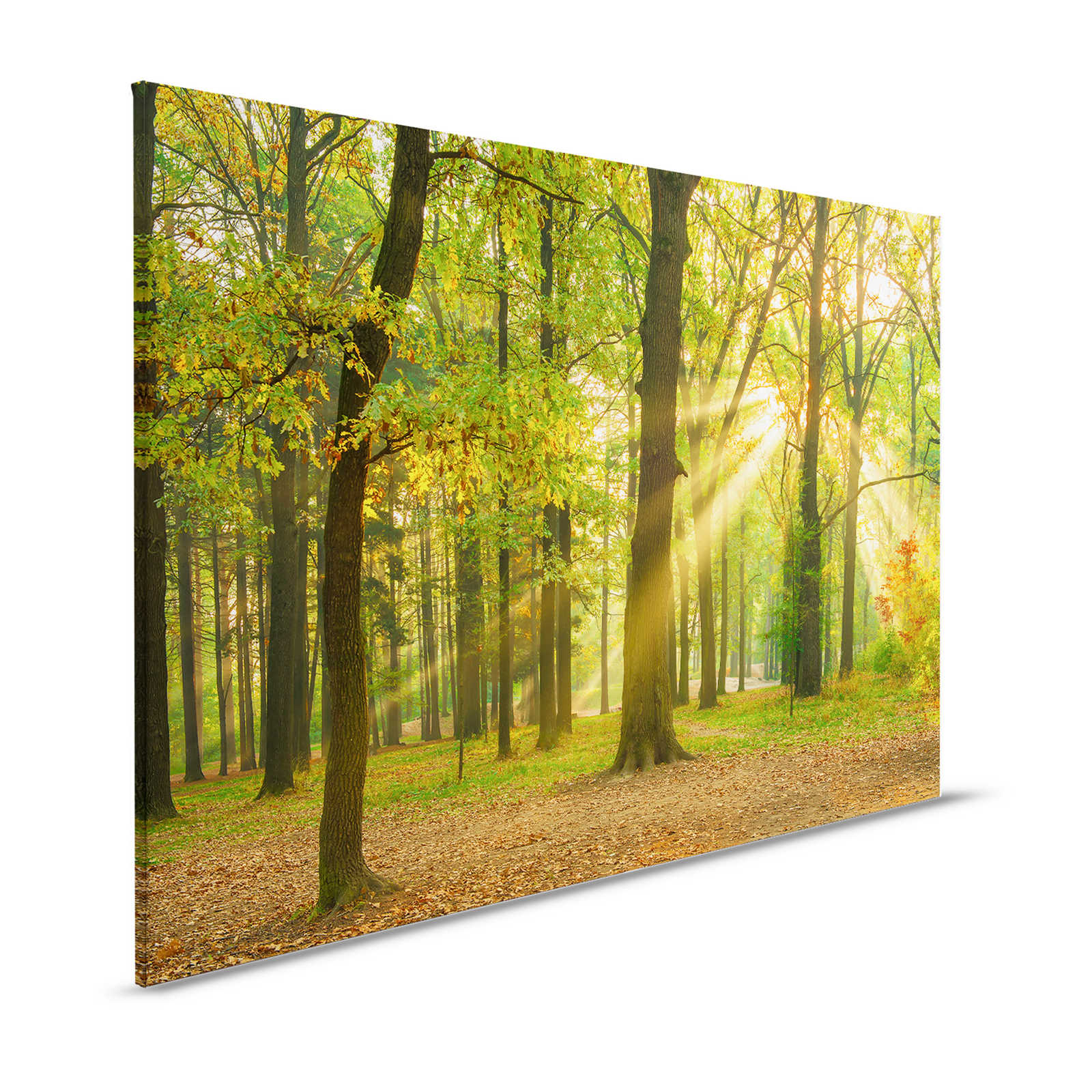 Leinwandbild Herbsttag im Laubwald mit Sonnenstrahlen – 1,20 m x 0,80 m

