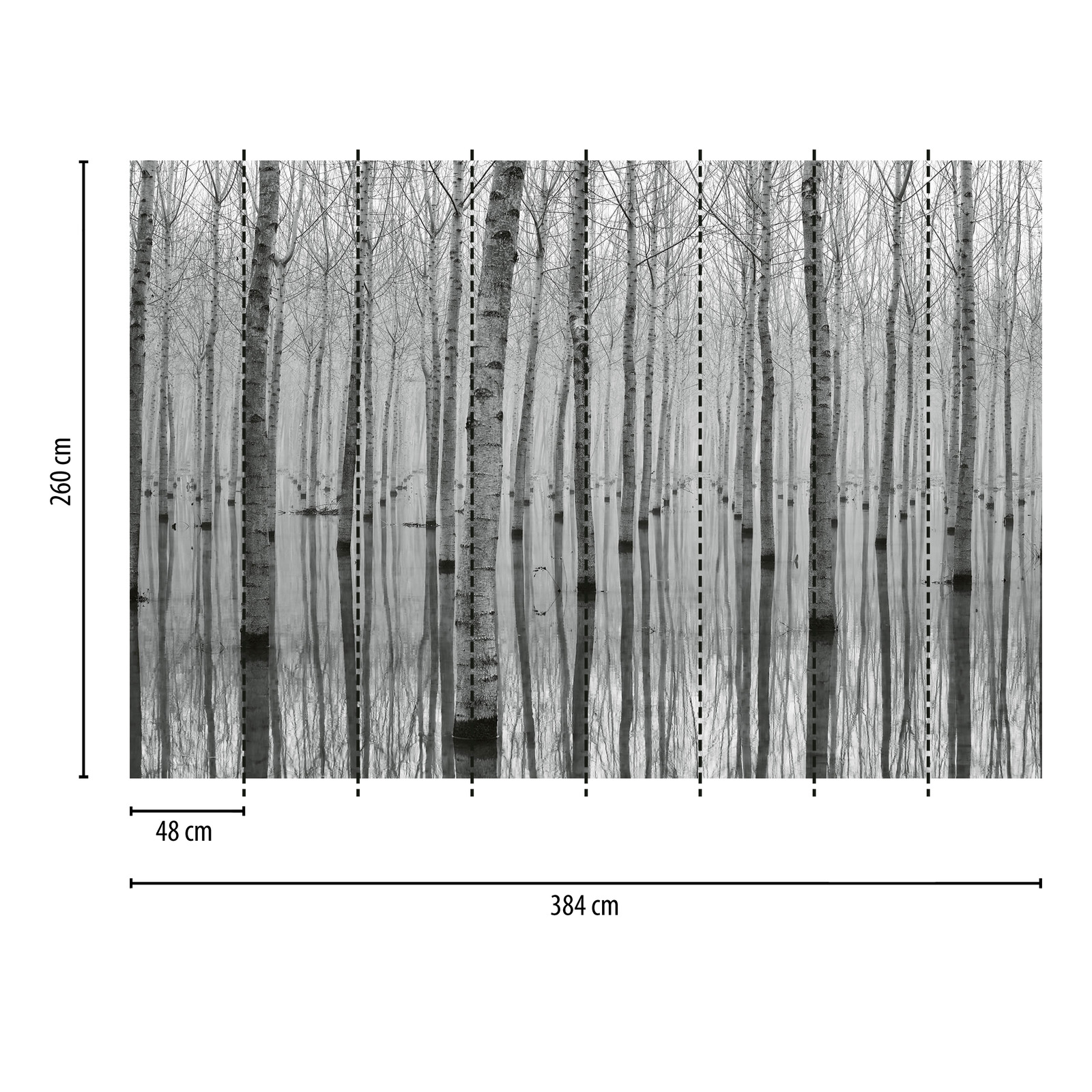             Fototapete Wald Birken im Wasser – Schwarz, Weiß, Grau
        