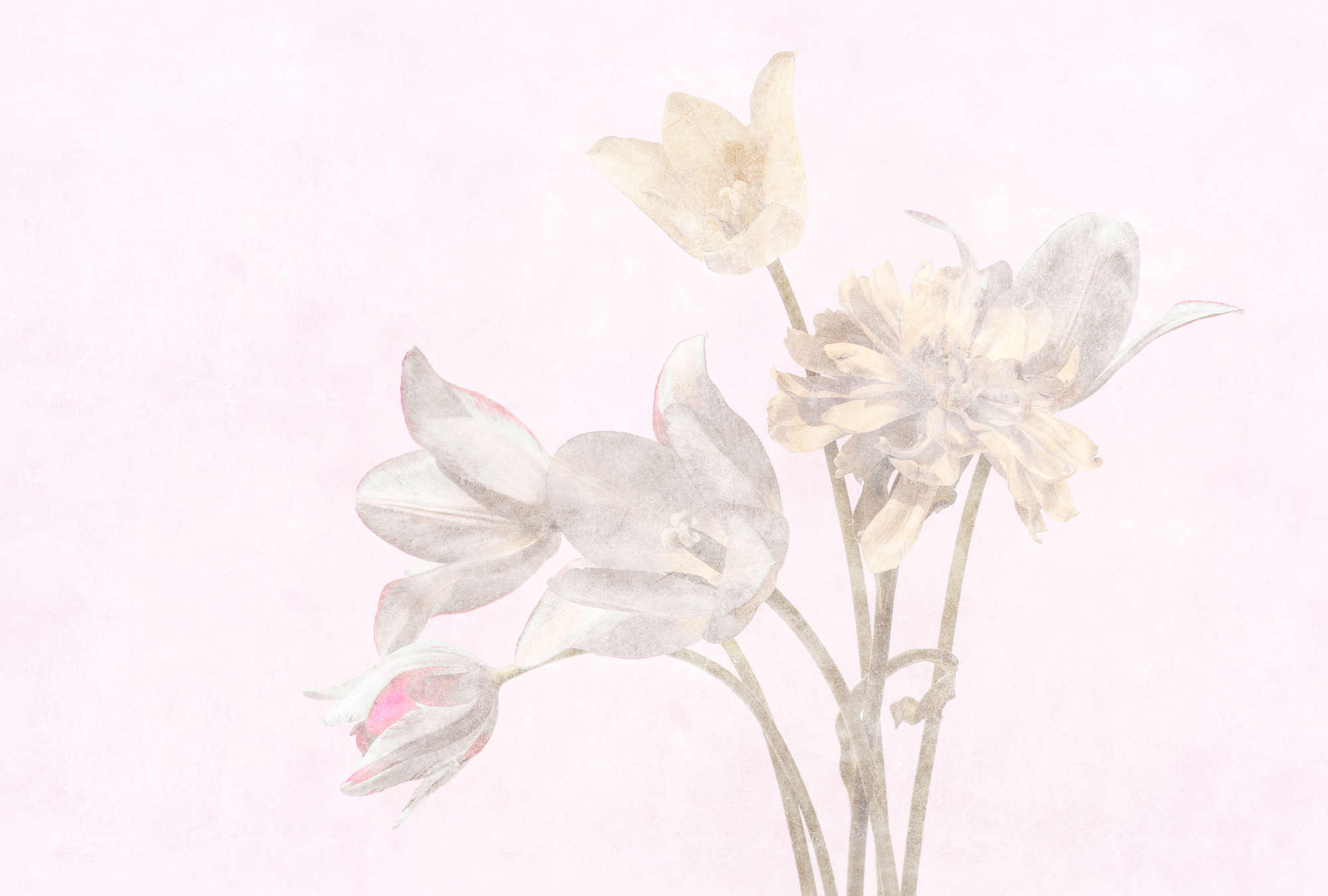             Morning Room 1 – Blumen Fototapete Blüten im verblassten Stil
        
