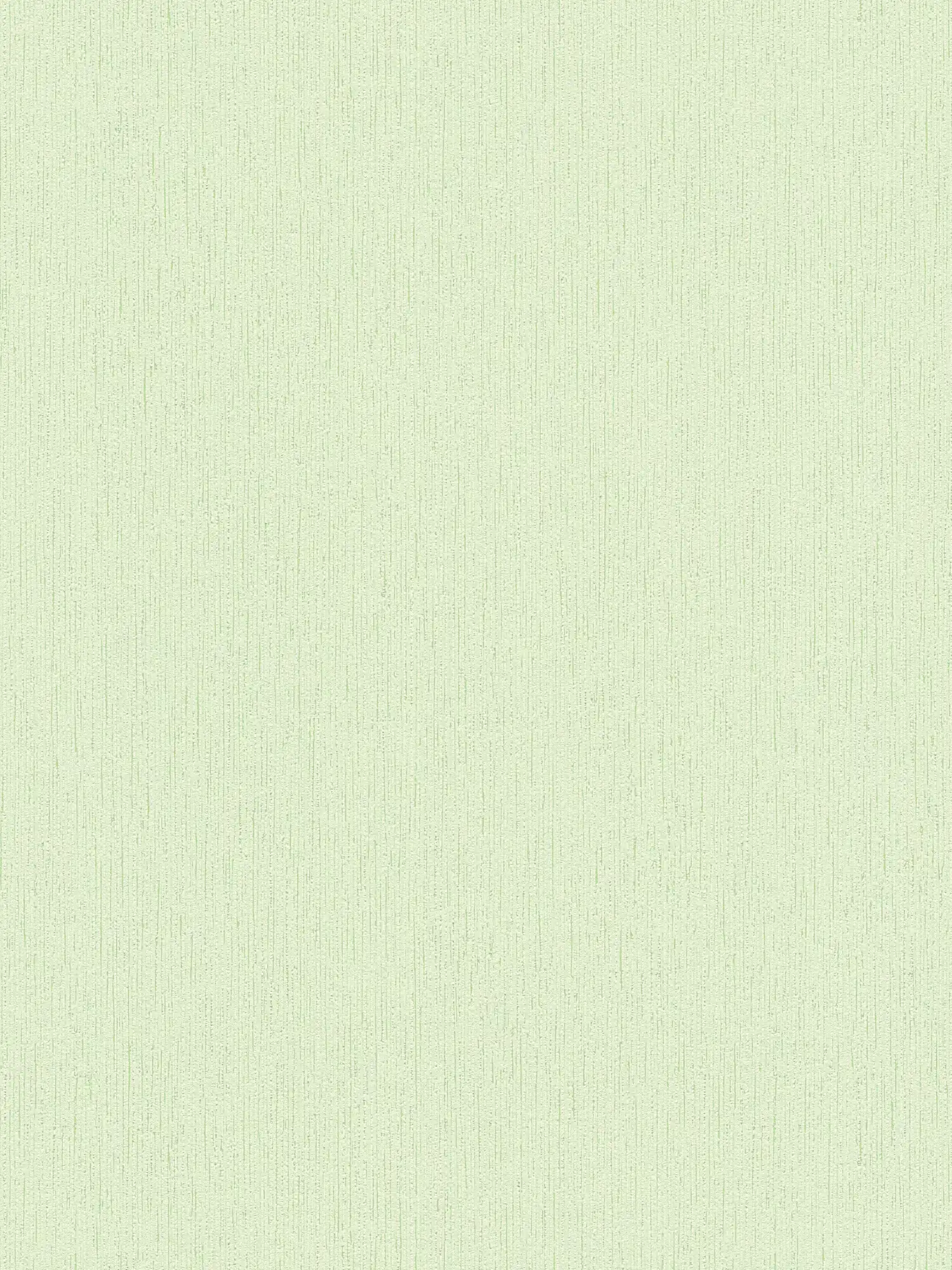 Hellgrüne Tapete Putzoptik & Strukturoberfläche - Grün
