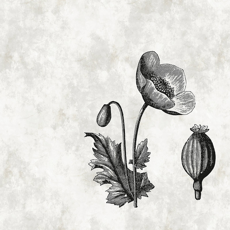 Schwarz-Weiß Fototapete Mohnblume Botanical Style
