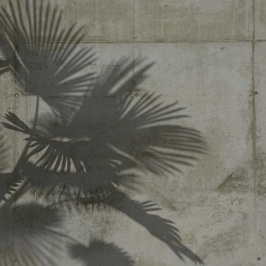 Fototapete Schatten von Palmenblättern auf Betonwand – Grau
